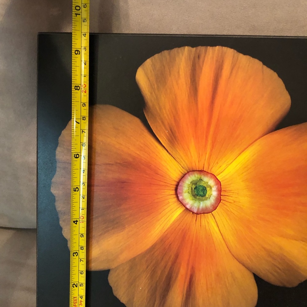 Orange Flower- Wall Art 🖼 Picture - Picture 4 of 6
